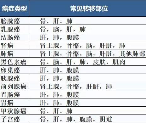 不同癌症转移的常见部位