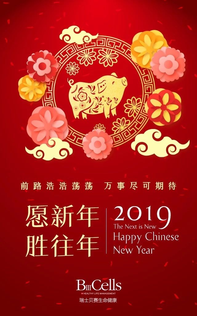 贝赛医生-你的欧洲私人医生 诚挚祝福，愿新年，胜往年！