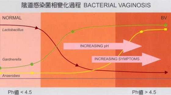 妇科炎症反复不愈，可能由于阴道菌群失衡？